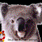 Ubuntu 9.10 - Karmic Koala
