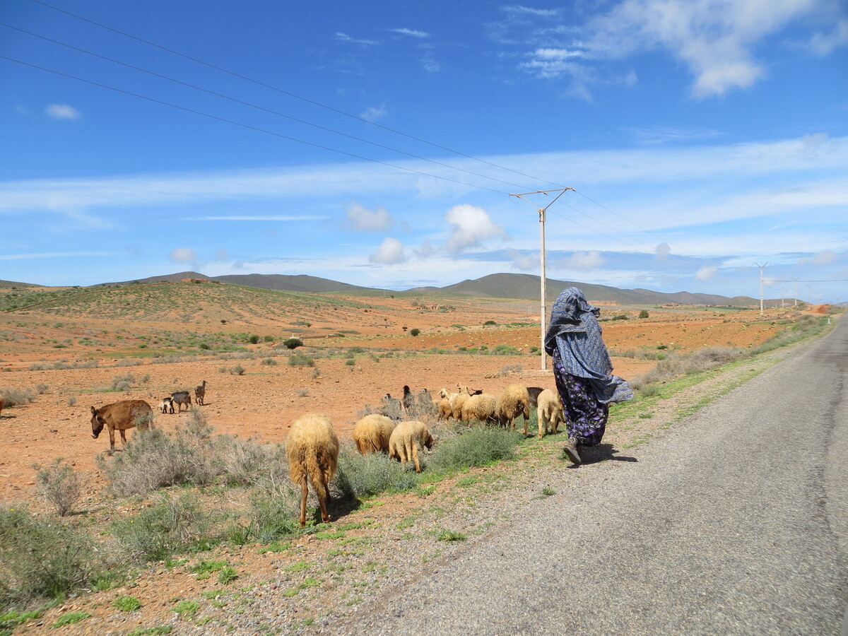 Sur la route…