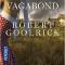 Arrive un vagabond - Robert Goolrick