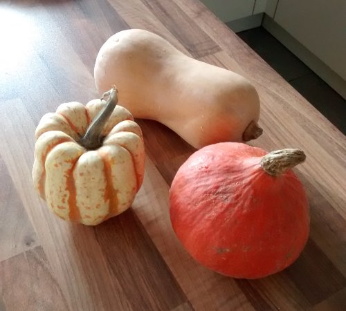 Butternut, Potimaron, Patidou
