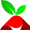 Installation de Pi-Hole sur mon Raspberry Volumio
