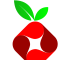 Pi-hole en container Docker et serveur DHCP