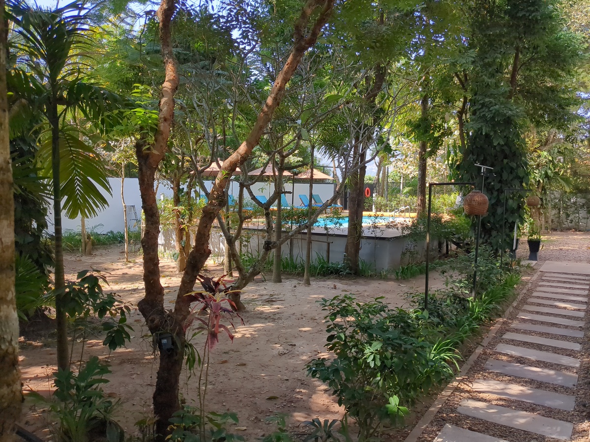 la piscine au milieu des arbres