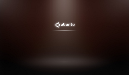 flash screen ubuntu 9.10