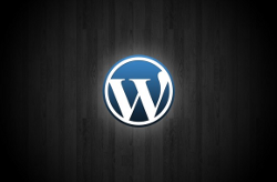 Mise à jour Wordpress 3.0.1 difficile