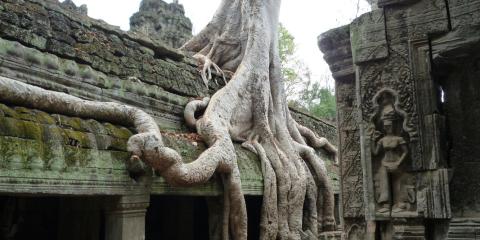 Temples d'Angkor - 2