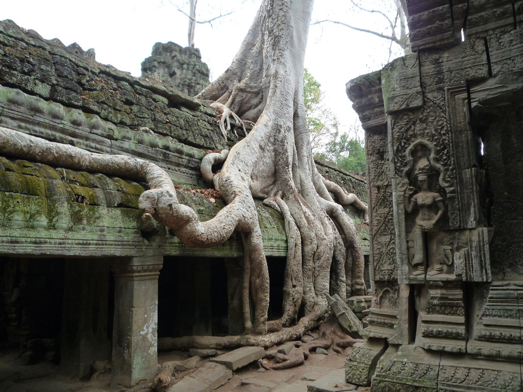 Cambodge - Temples d’Angkor 2